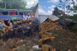 Colisao-entre-onibus-e-caminhao-deixa-dois-mortos-e-tres-feridos-na-BR-316 (1)
